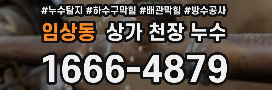 임상동 상가 천장 누수