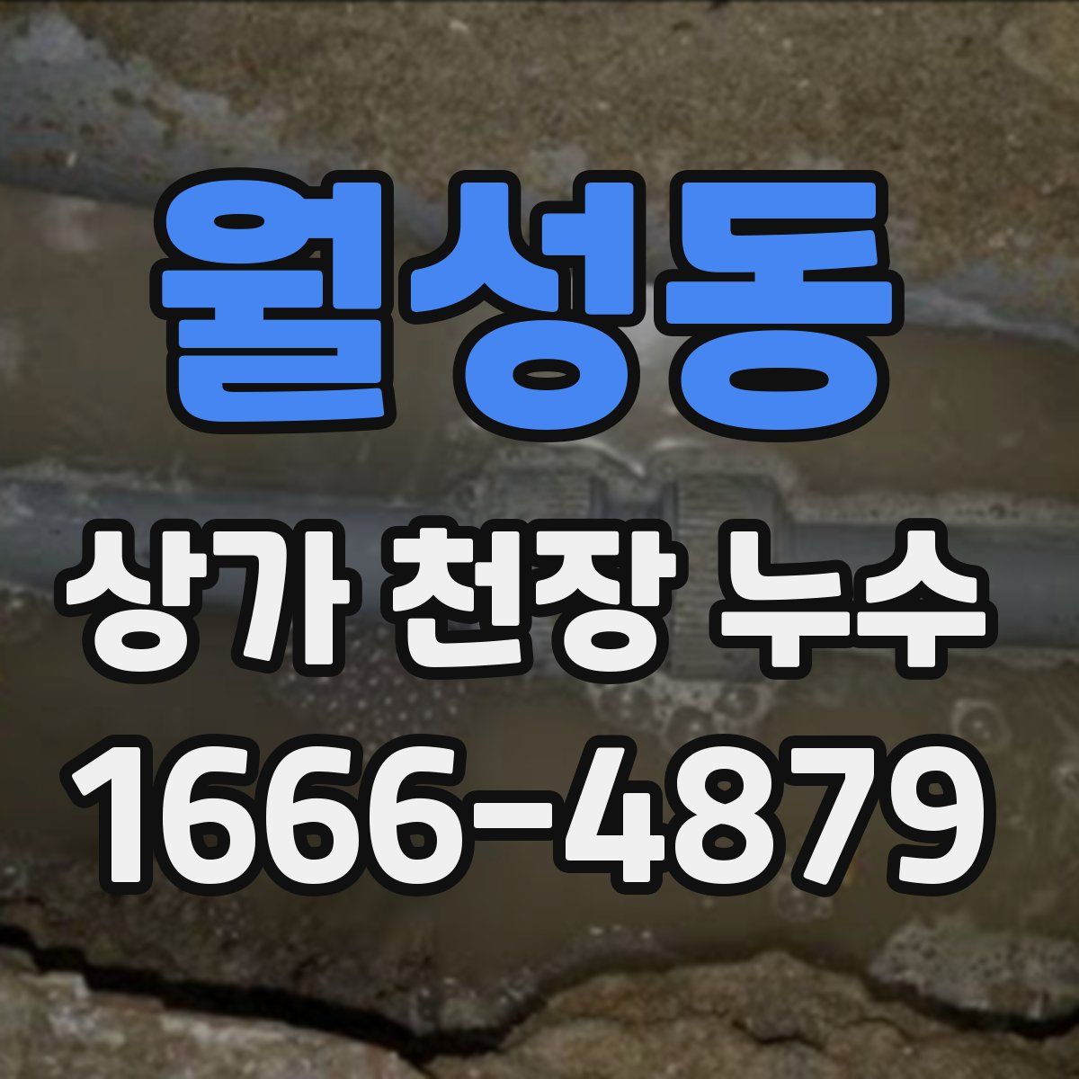 월성동 상가 천장 누수
