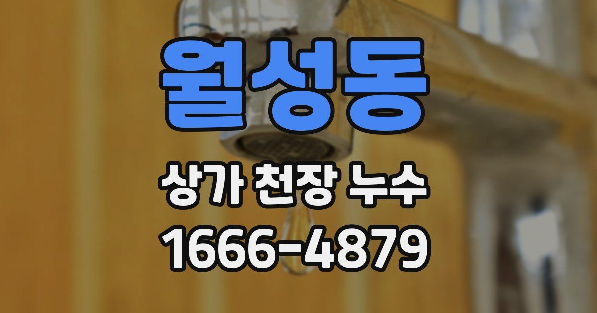 월성동 상가 천장 누수