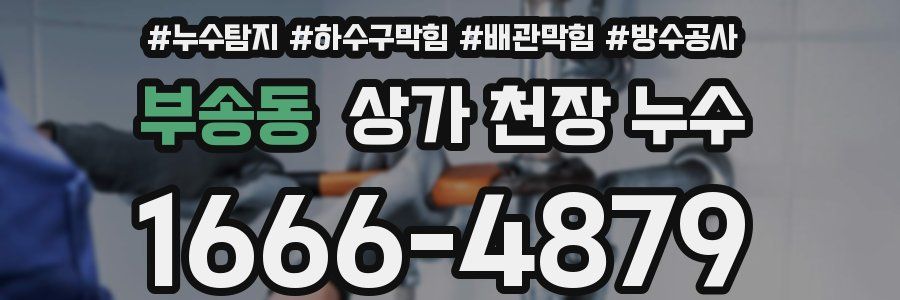 부송동 상가 천장 누수