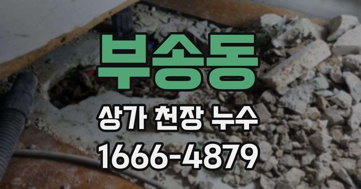 부송동 상가 천장 누수
