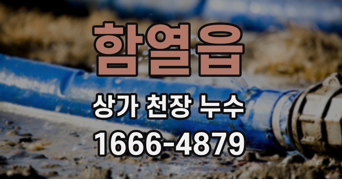 함열읍 상가 천장 누수