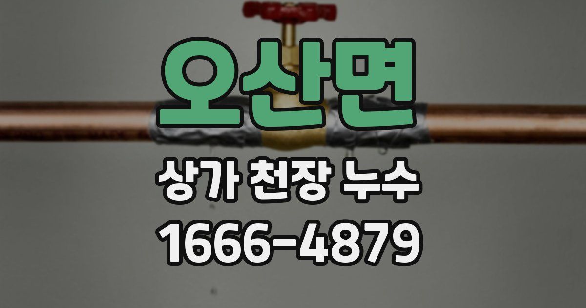 오산면 상가 천장 누수