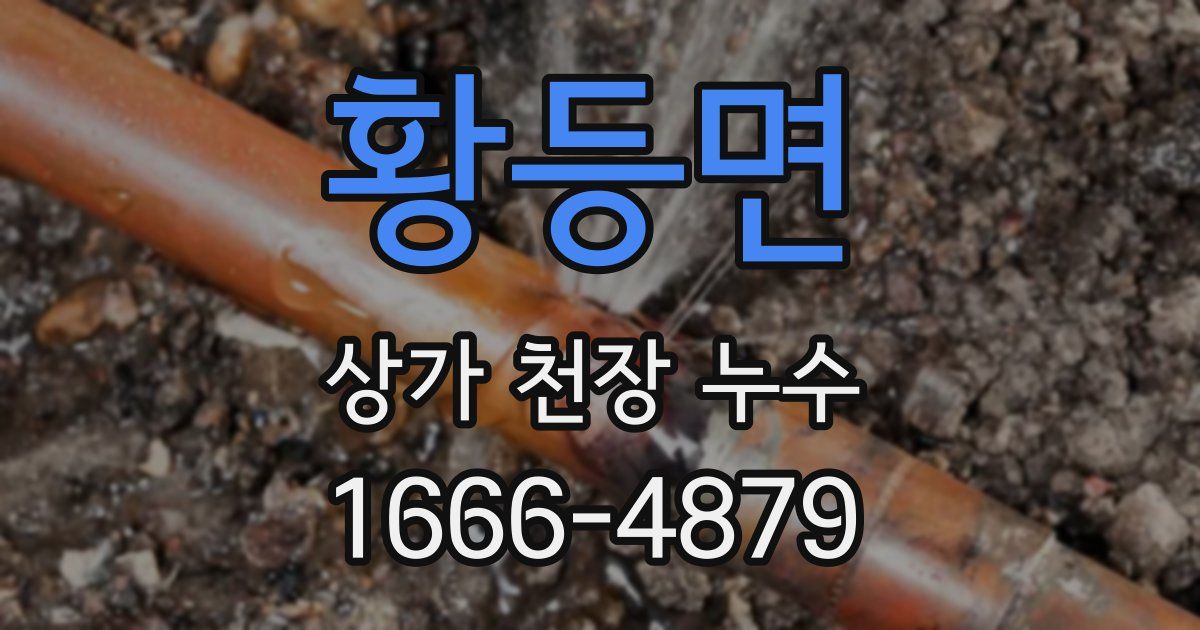 황등면 상가 천장 누수