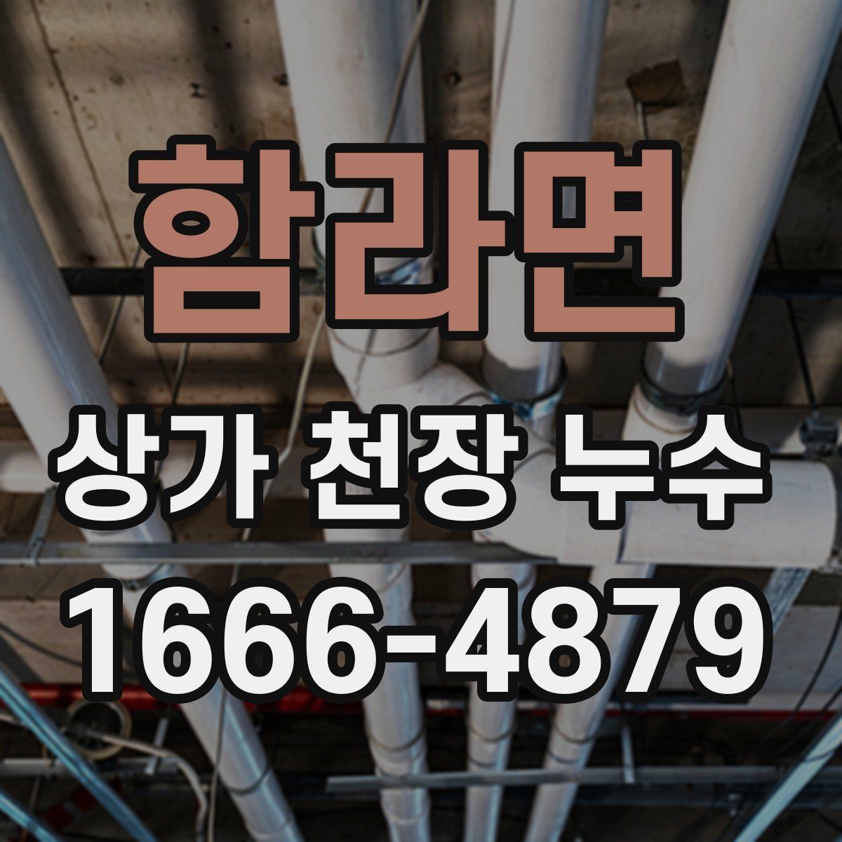 함라면 상가 천장 누수
