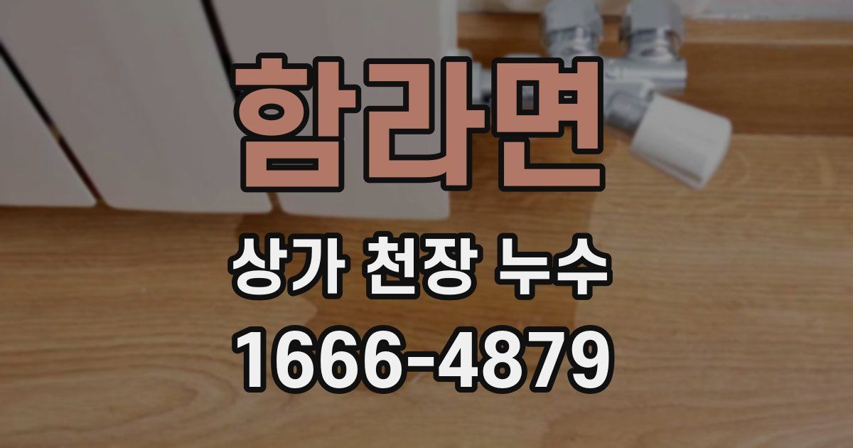 함라면 상가 천장 누수