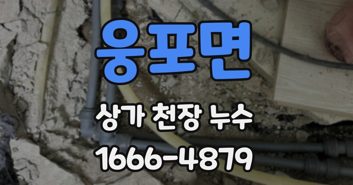 웅포면 상가 천장 누수