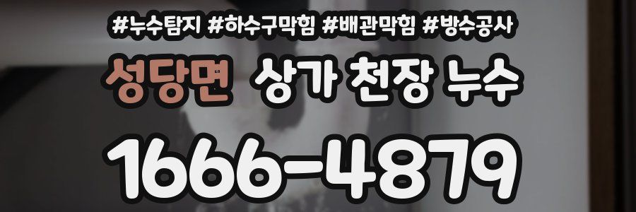 성당면 상가 천장 누수
