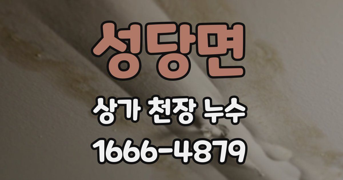 성당면 상가 천장 누수