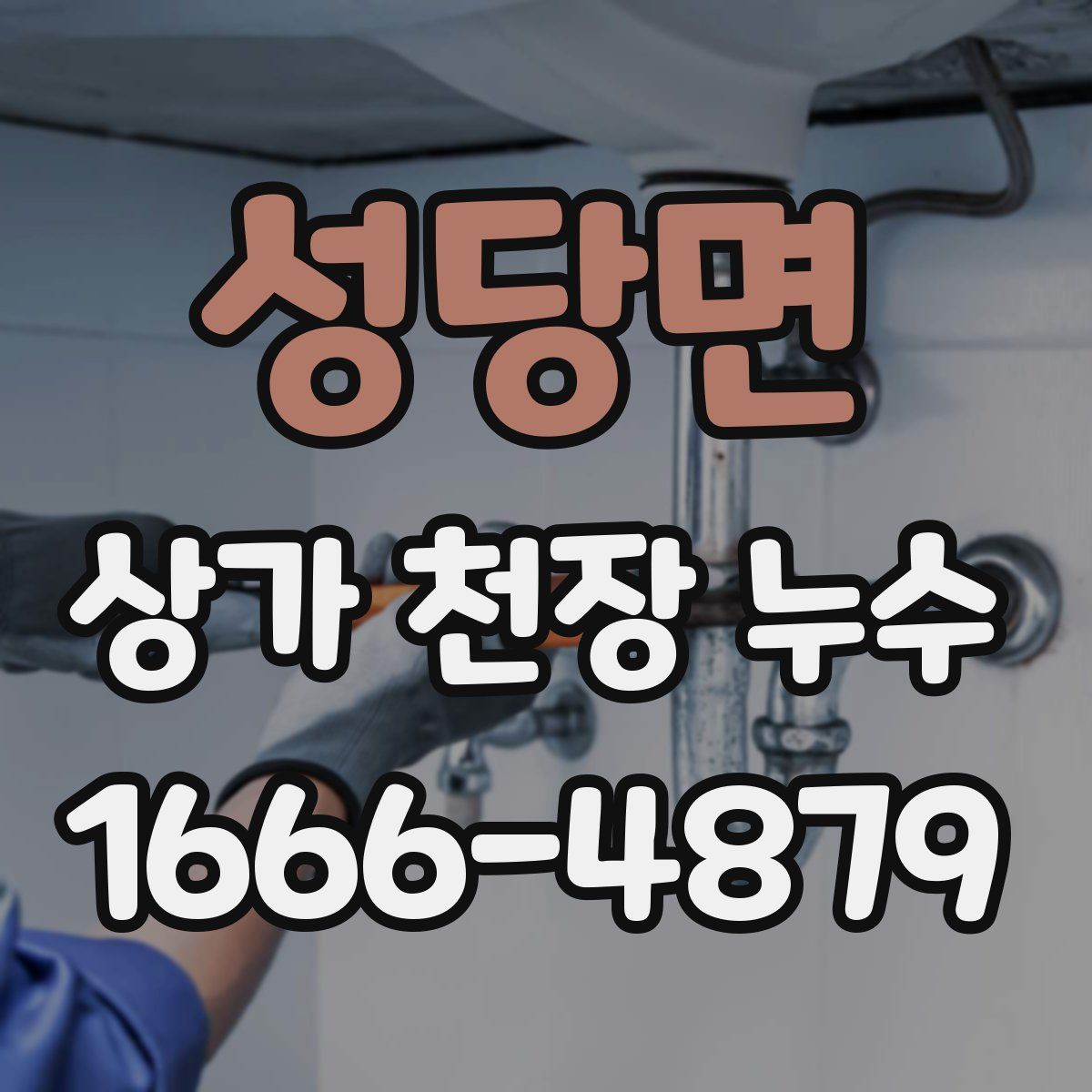 성당면 상가 천장 누수