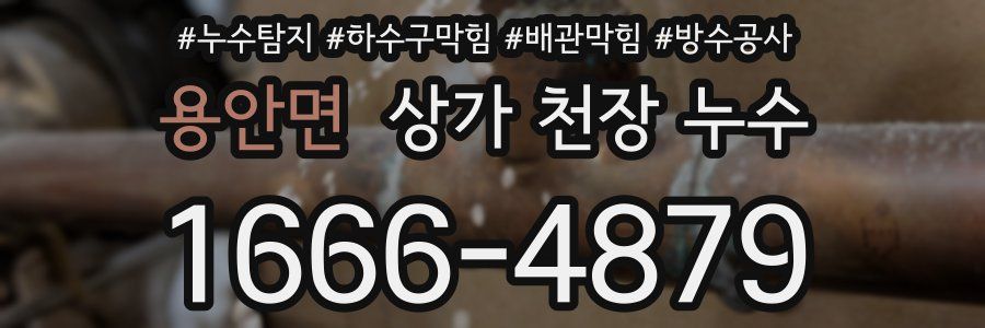 용안면 상가 천장 누수