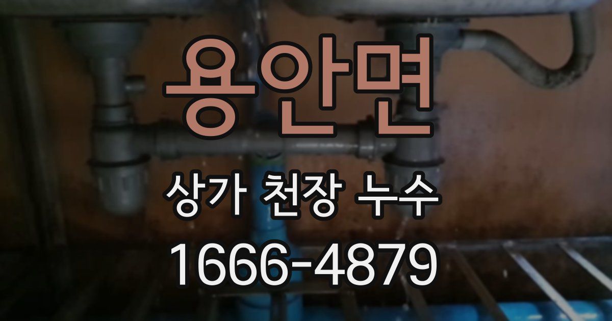 용안면 상가 천장 누수