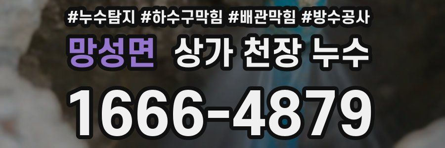 망성면 상가 천장 누수