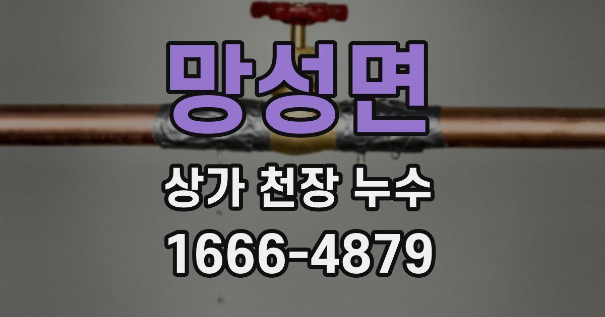 망성면 상가 천장 누수