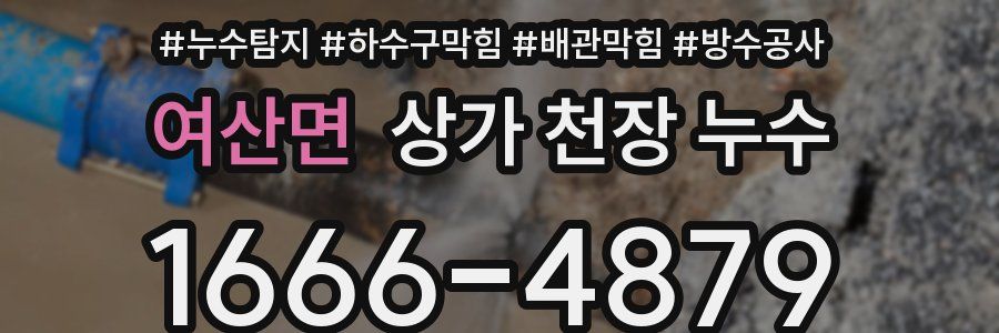 여산면 상가 천장 누수