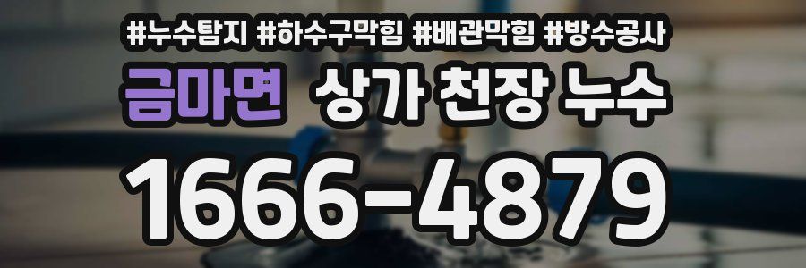 금마면 상가 천장 누수