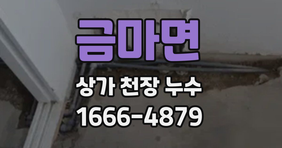 금마면 상가 천장 누수