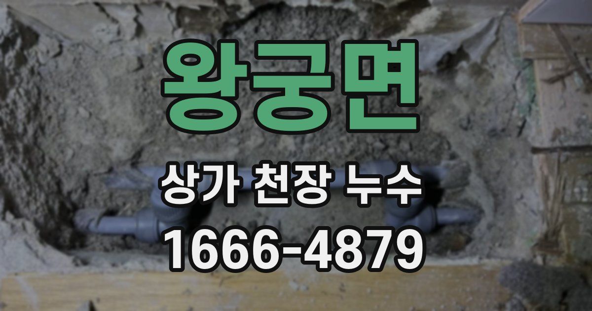 왕궁면 상가 천장 누수