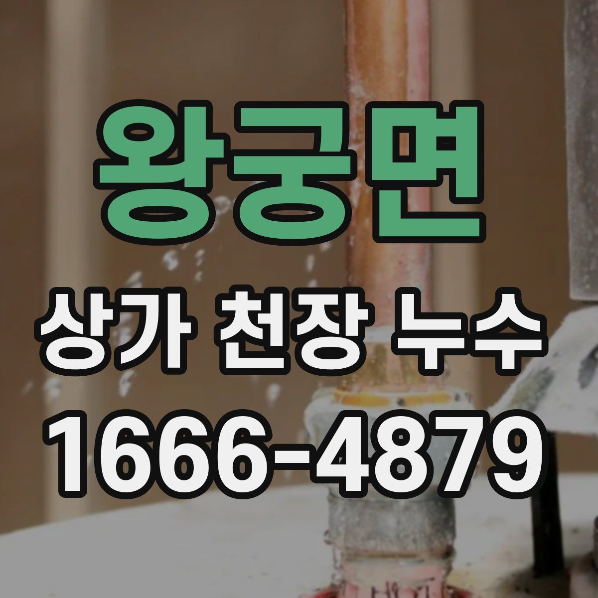 왕궁면 상가 천장 누수