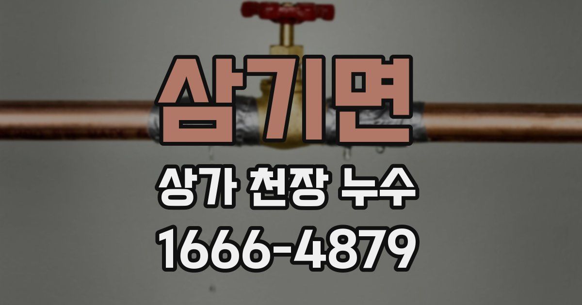 삼기면 상가 천장 누수
