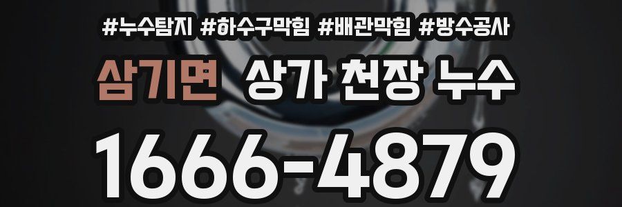 삼기면 상가 천장 누수