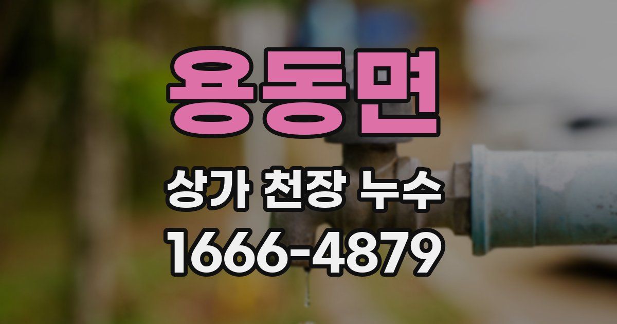 용동면 상가 천장 누수