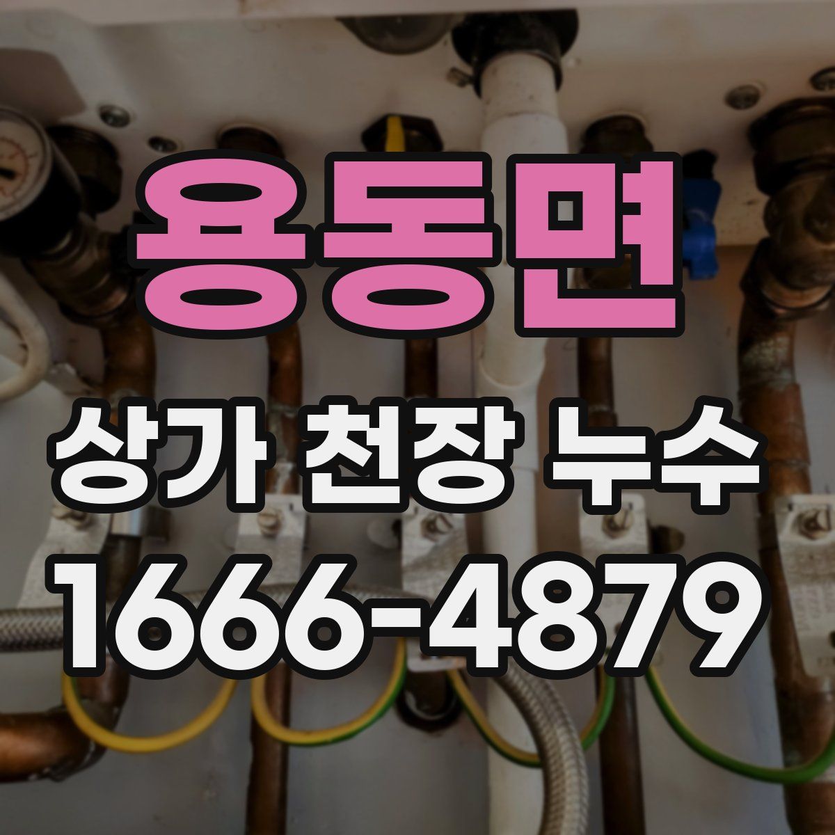 용동면 상가 천장 누수
