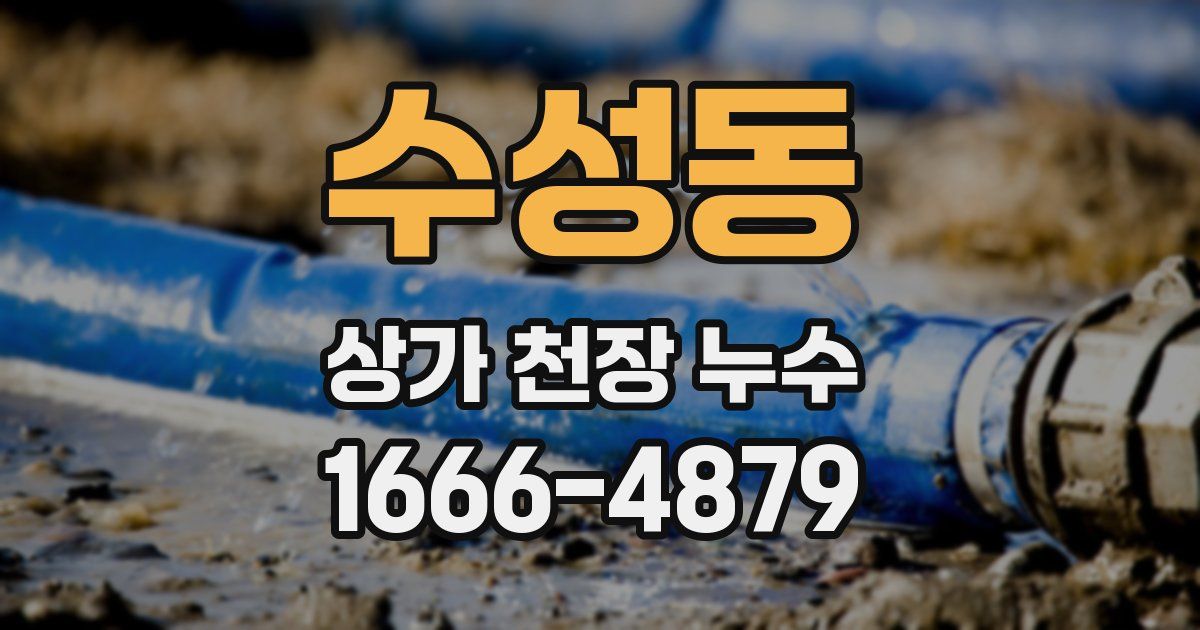 수성동 상가 천장 누수