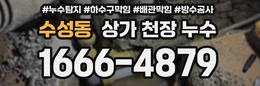 수성동 상가 천장 누수