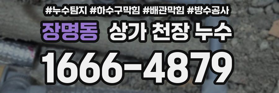 장명동 상가 천장 누수