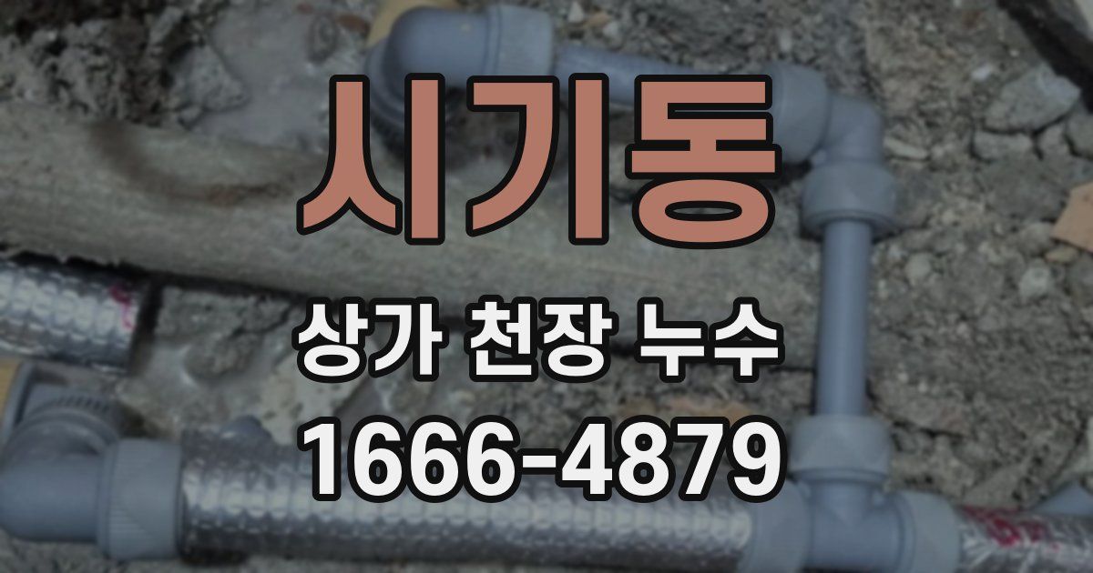 시기동 상가 천장 누수