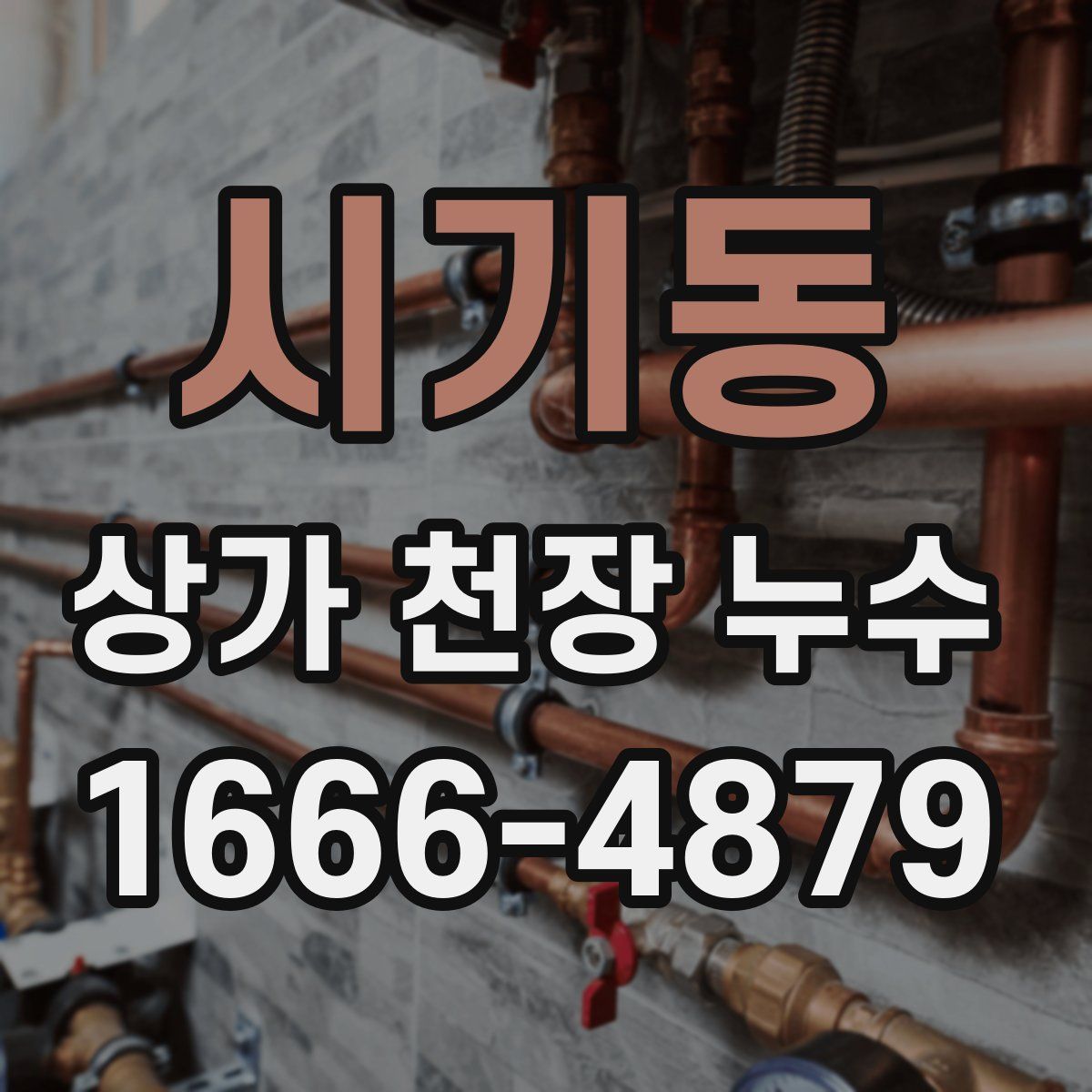 시기동 상가 천장 누수