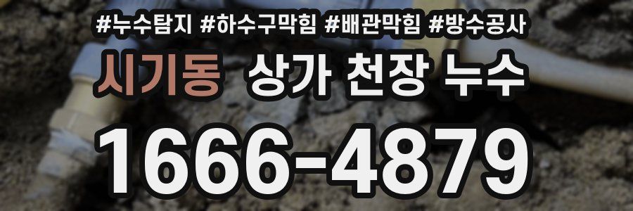 시기동 상가 천장 누수