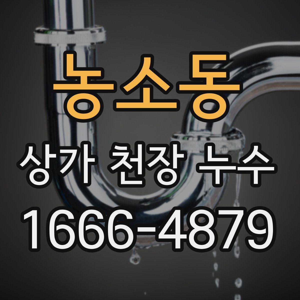 농소동 상가 천장 누수