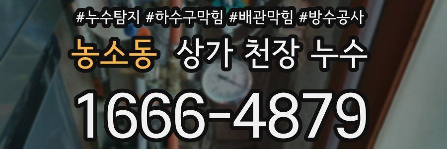 농소동 상가 천장 누수