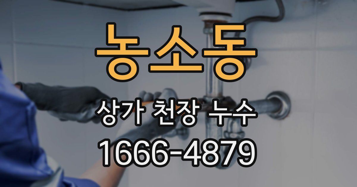 농소동 상가 천장 누수