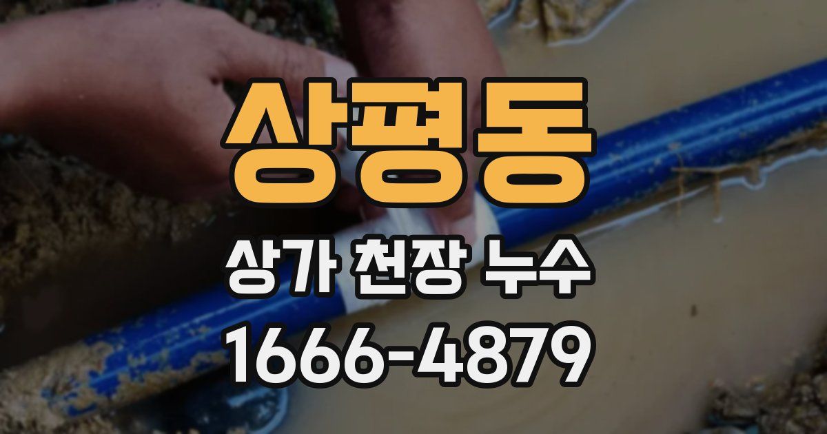 상평동 상가 천장 누수