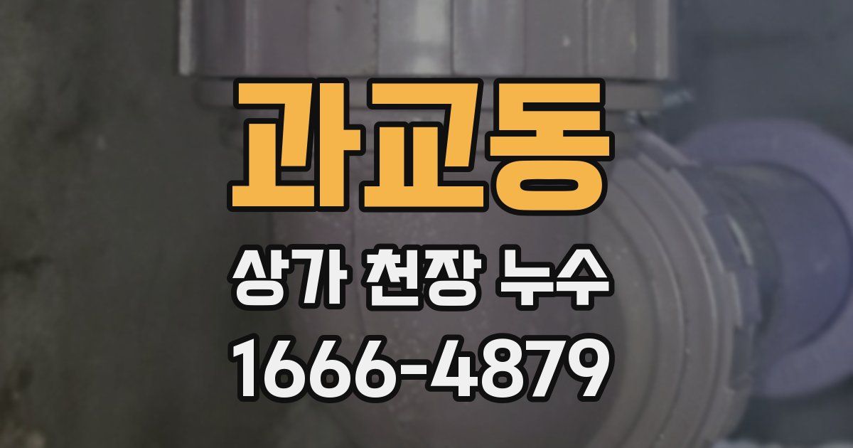과교동 상가 천장 누수