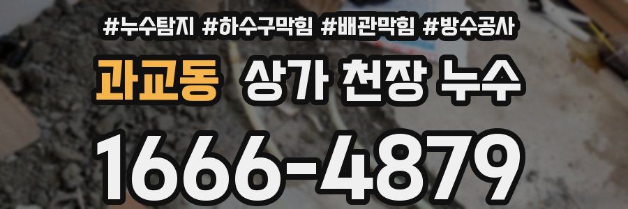 과교동 상가 천장 누수