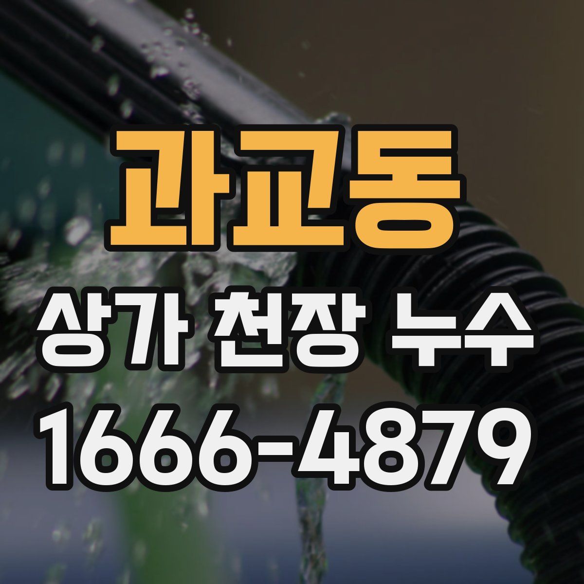 과교동 상가 천장 누수