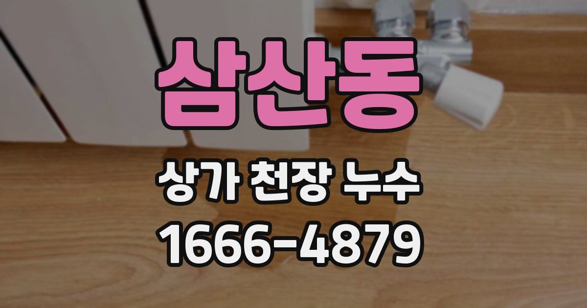 삼산동 상가 천장 누수