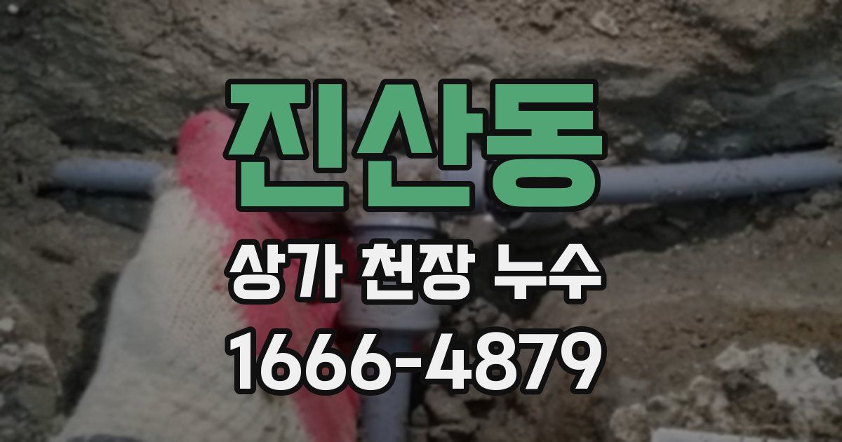 진산동 상가 천장 누수