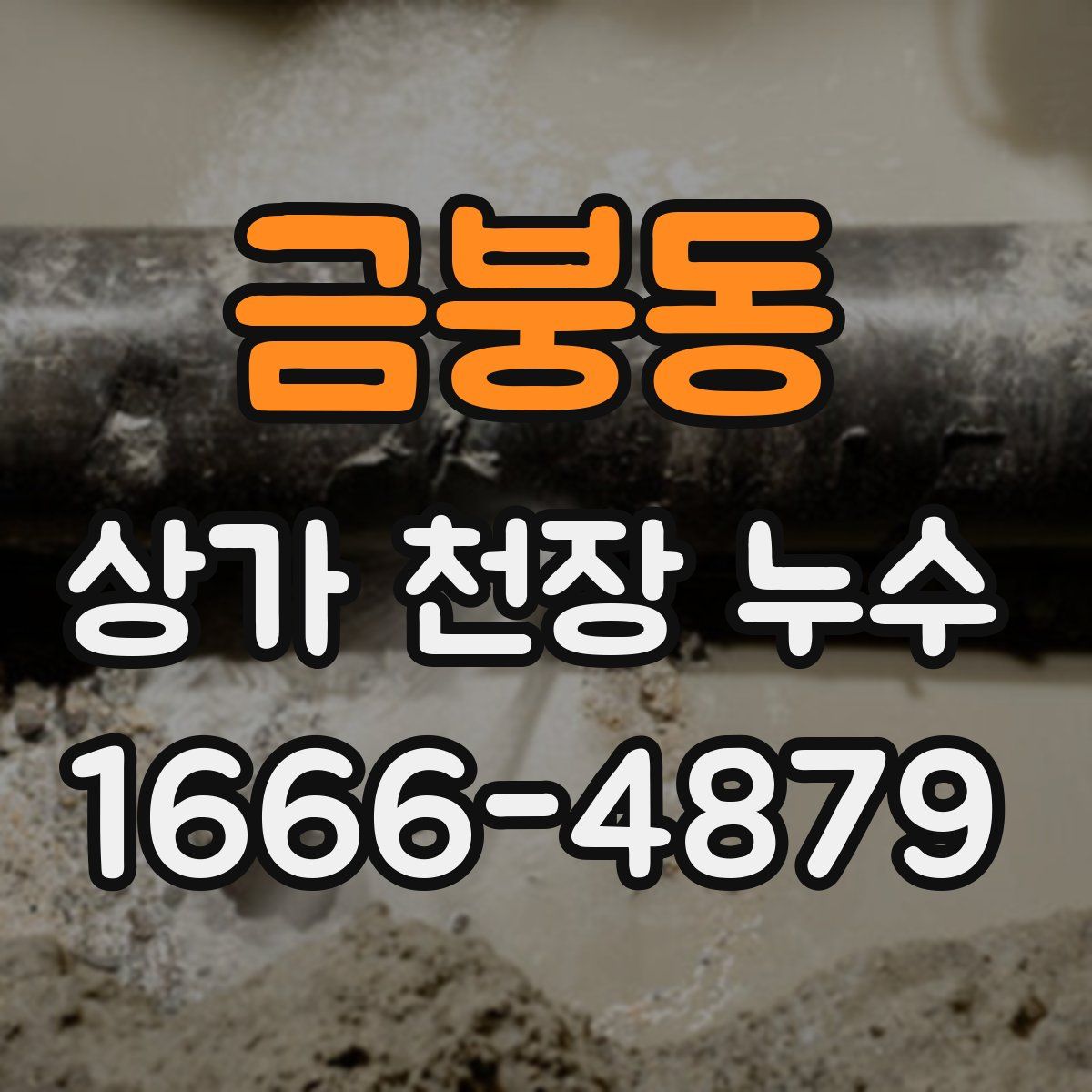 금붕동 상가 천장 누수
