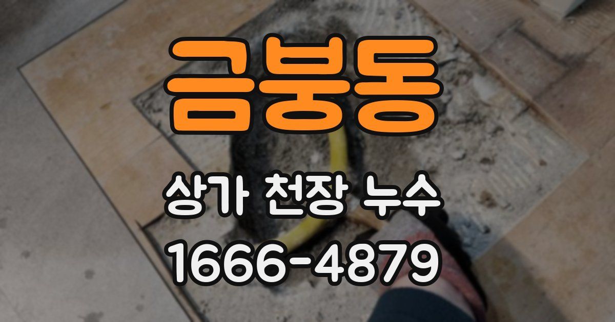 금붕동 상가 천장 누수
