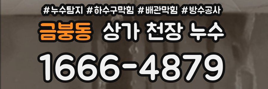 금붕동 상가 천장 누수
