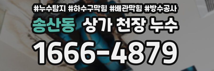송산동 상가 천장 누수