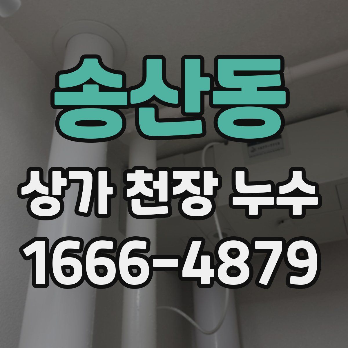 송산동 상가 천장 누수