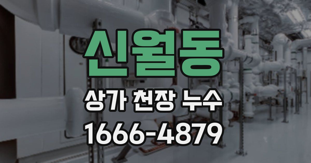 신월동 상가 천장 누수