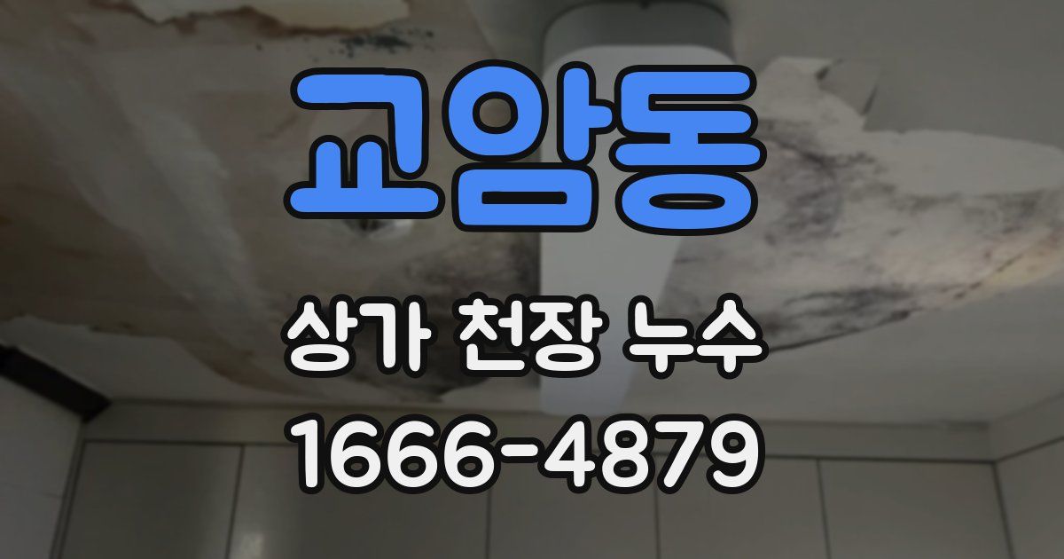 교암동 상가 천장 누수