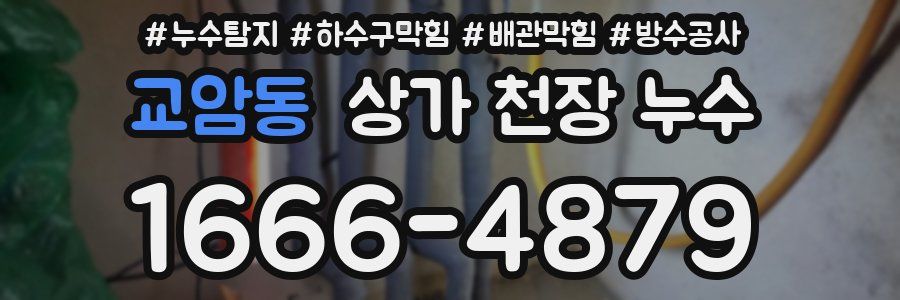 교암동 상가 천장 누수